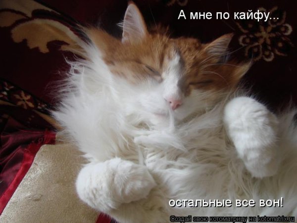Мне всё по кайфу