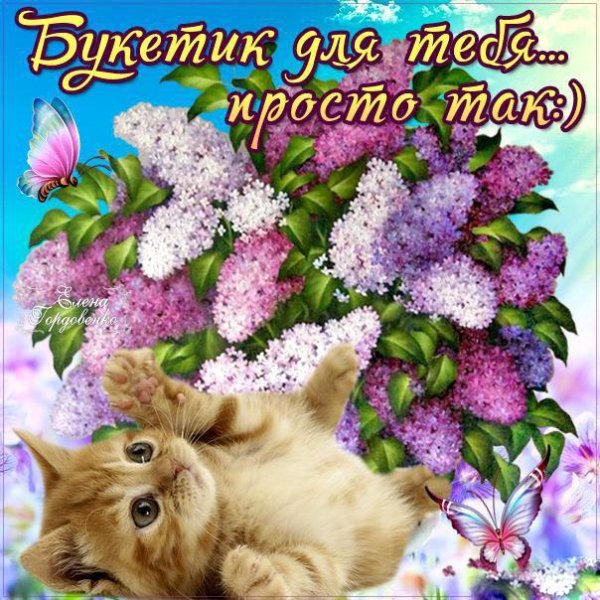 Красивые поздравления просто так