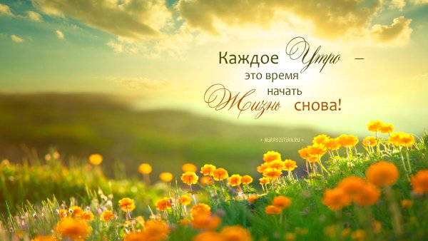 Луг в солнечных лучах