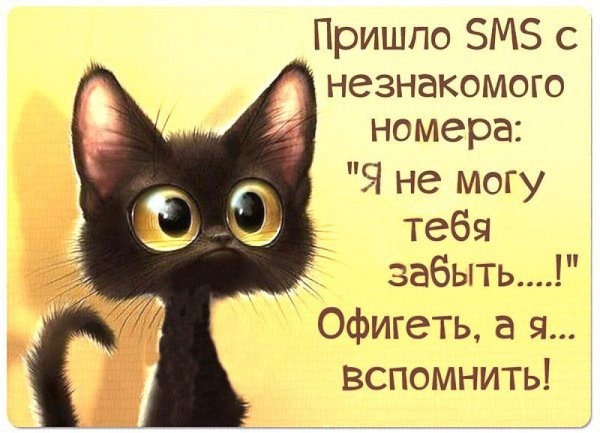 Позитивные надписи для поднятия настроения