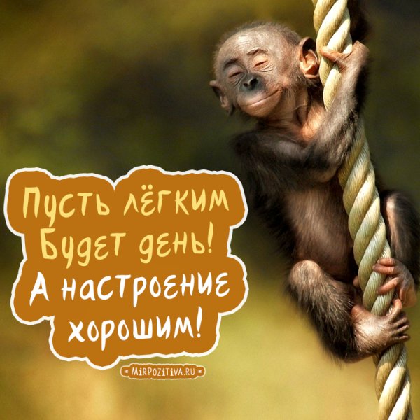 Доброго дня прикольные