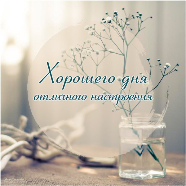 Хорошего дня и отличного настроения