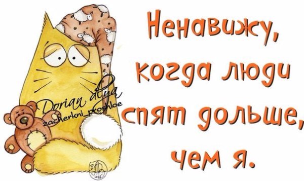 Утренние приколы для поднятия настроения