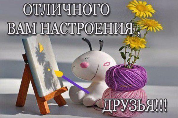 Смешные морды животных с надписями