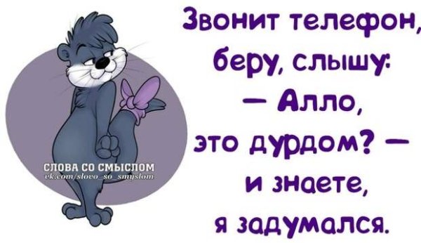 Смешные фразы для поднятия настроения в картинках