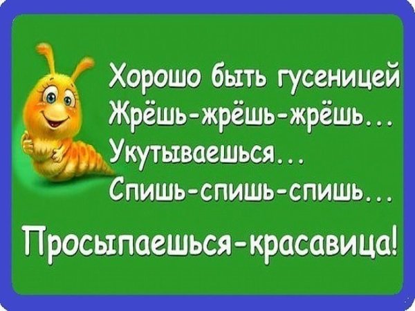 Позитивные мысли для поднятия настроения