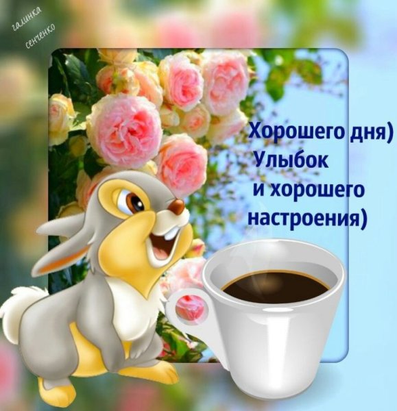 Удачного дня и отличного настроения