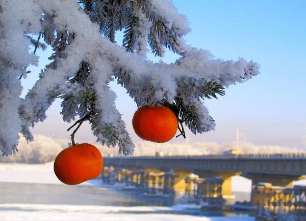 Предновогоднее настроение