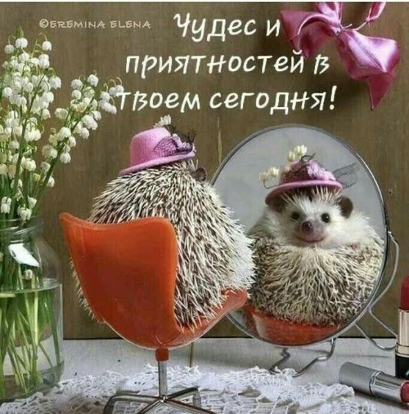 С добрым утром Ежик