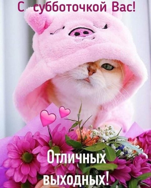 Доброе утро котенок