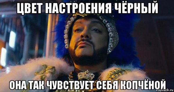 Стильный черный кот