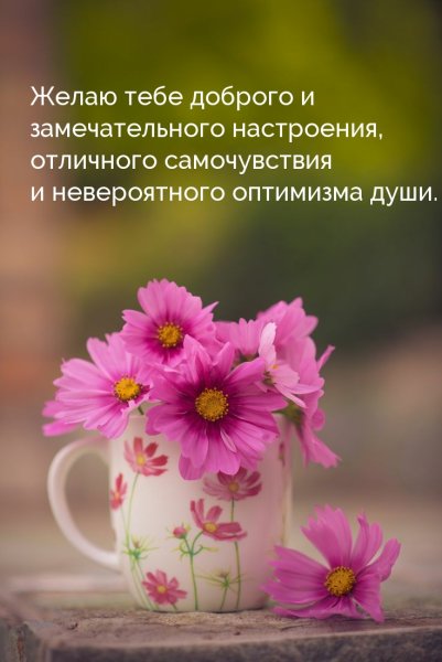 Цветы с пожеланиями хорошего дня