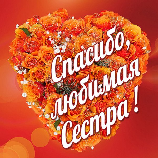 Спасибо сын