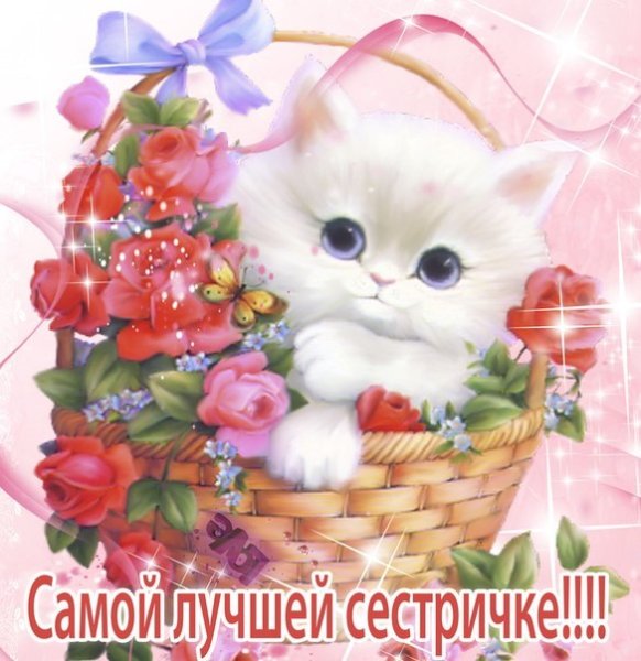 С днём рождения сестрёнка