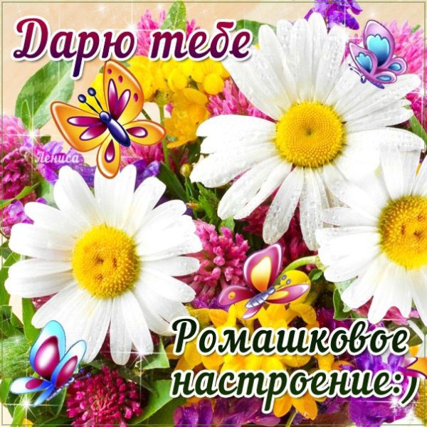 Отличного настроения на весь день цветы