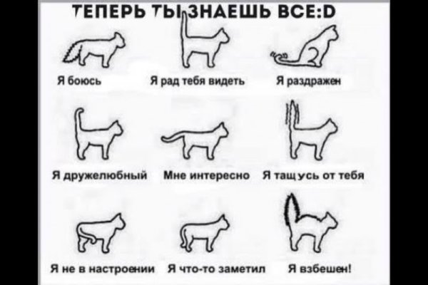 Язык кошачьего хвоста в картинках