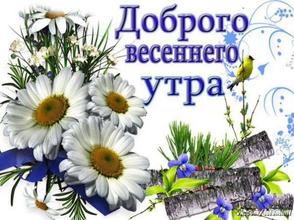 Доброе Весеннее утро
