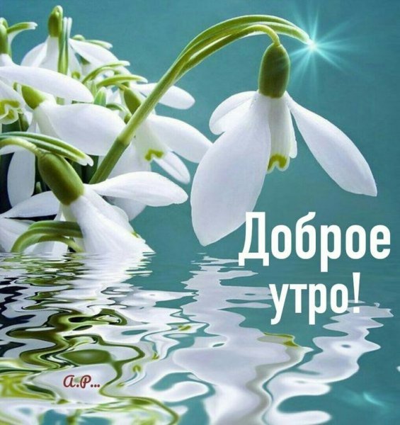 Весеннее настроение