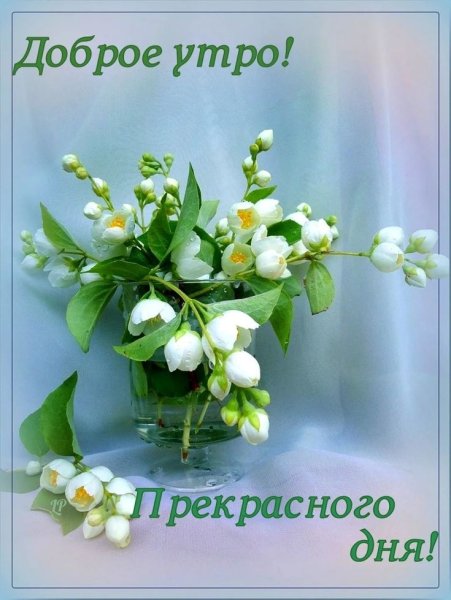 Весеннее настроение