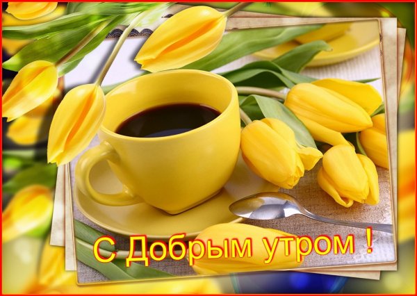 Доброе утро желтые тюльпаны
