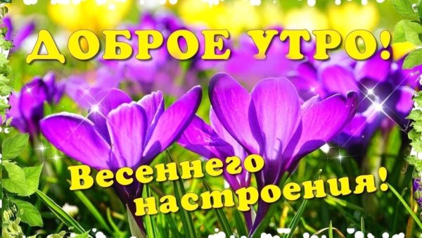 С добрым утром Весна