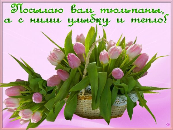 Весенние букеты с пожеланиями