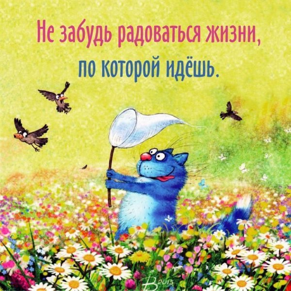 Позитивные открытки