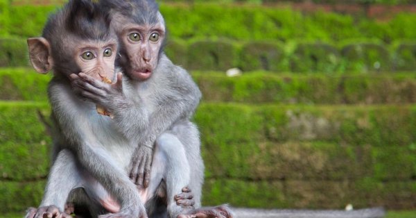 Позитив для поднятия настроения мужчине