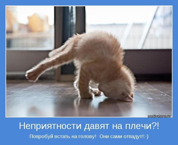 Позитивные мотиваторы для поднятия настроения