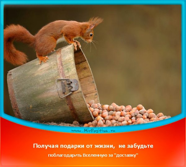 Мотиваторы позитивные Жизнеутверждающие