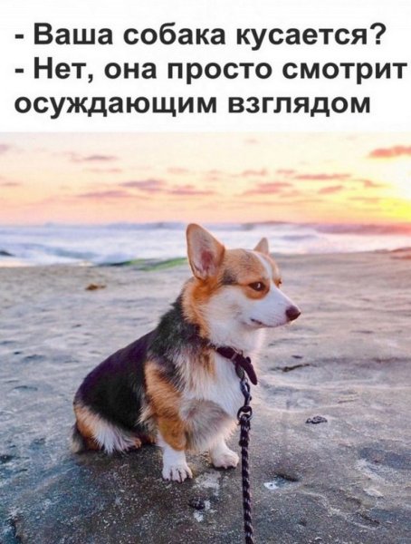 Картинки для поднятия настроения