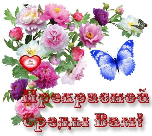 Открытки с добрым утром среды