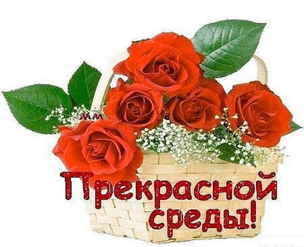 Прекрасной среды