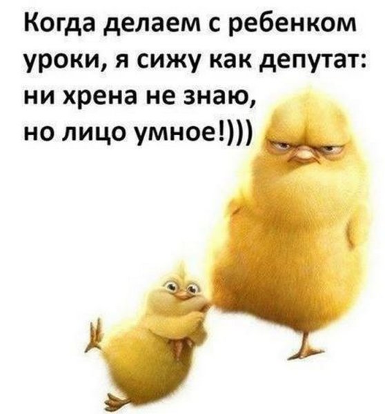 Смешные открытки для поднятия настроения