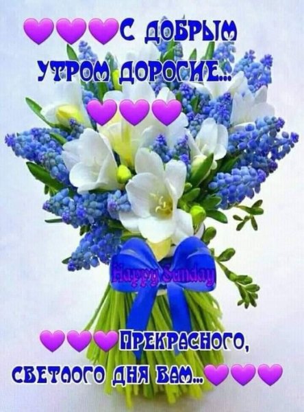 Открытки с добрым утром Зоя