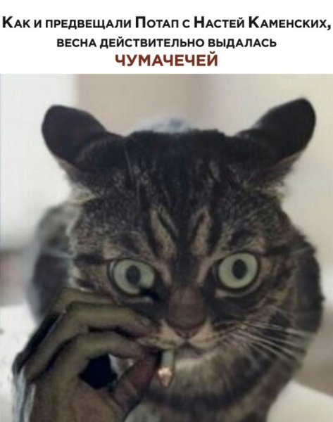 Хорошее настроение единственный вирус который хочется подхватить
