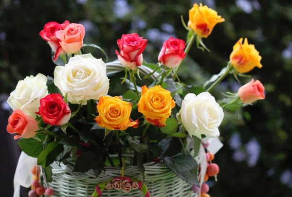 Картинки цветы красивые розы букеты для хорошего настроения (41 фото)