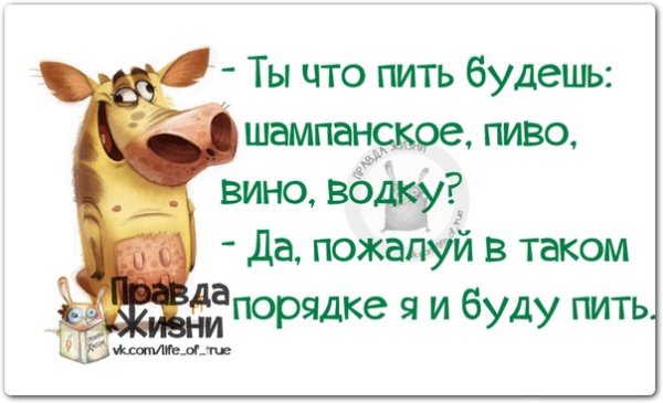 Выпить хочется картинки прикольные