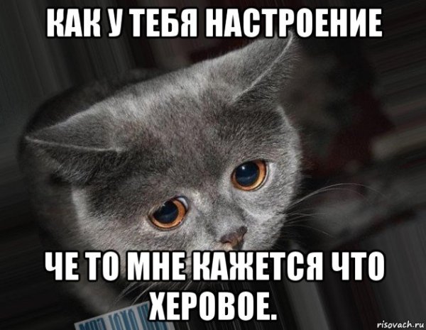 Ты чего без настроения