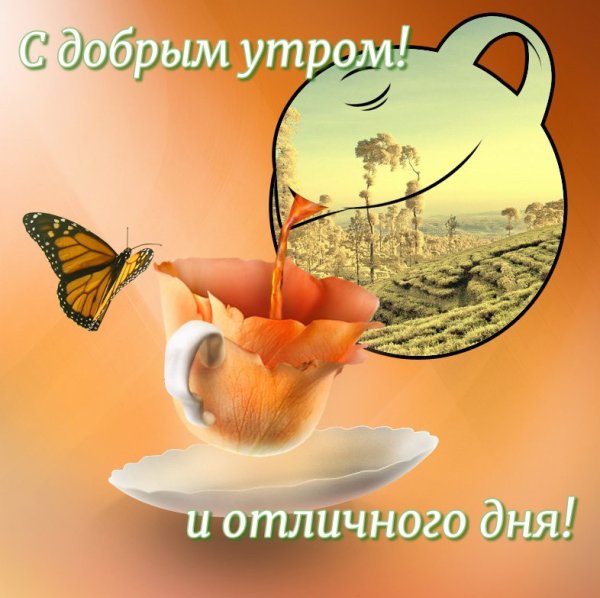 Необычные пожелания с добрым утром