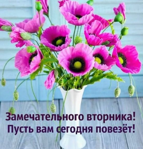 Замечательного вторника