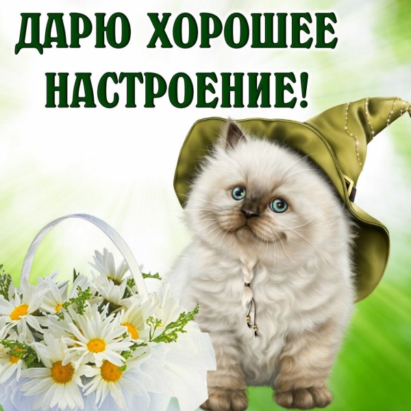Отличного настроения