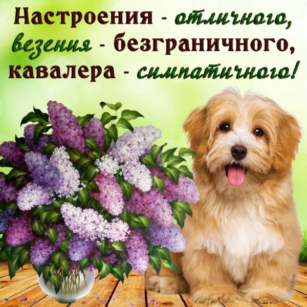 Хорошего дня и отличного настроения