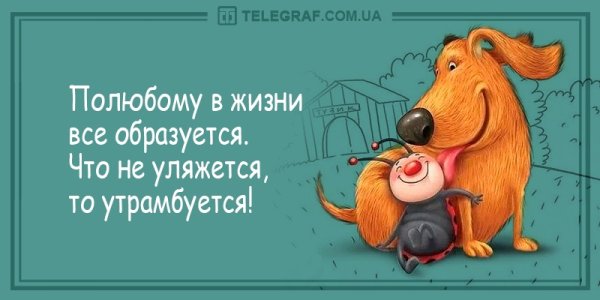 Позитивный настрой на день