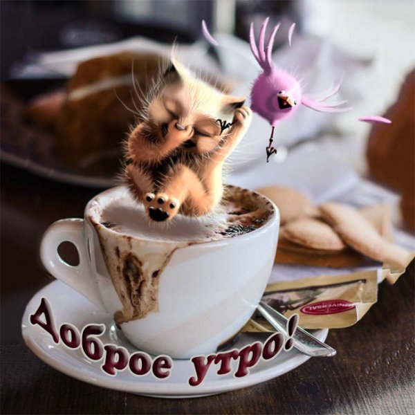 Доброе утро Максим