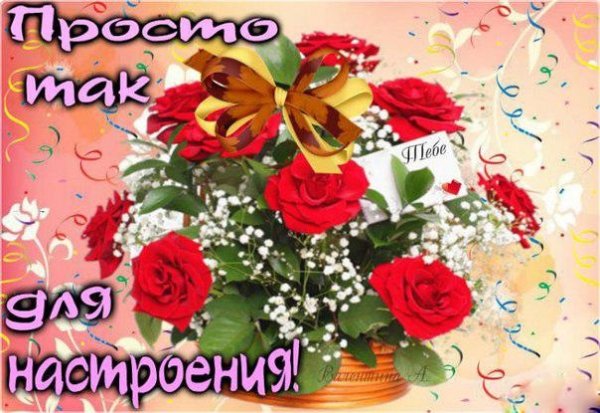 Цветы просто так для настроения