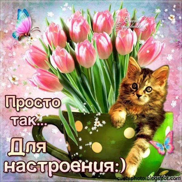 Просто так для настроения