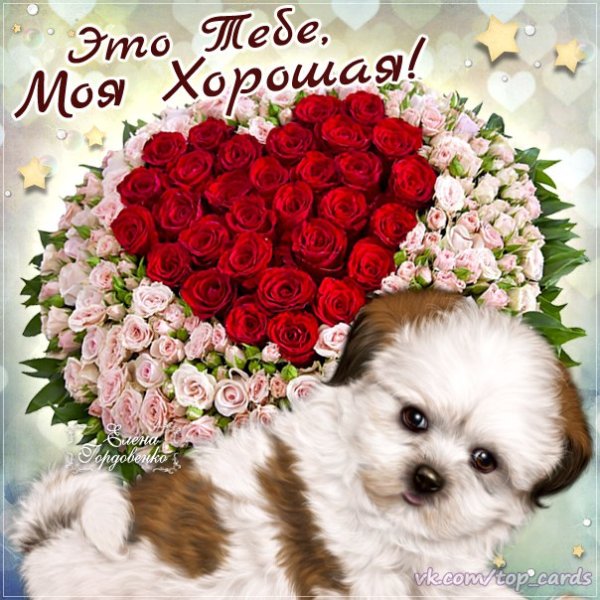 Открытки ты хороший
