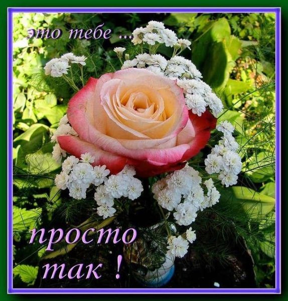 Красивые открытки просто так