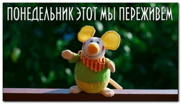 Утро понедельника картинки прикольные